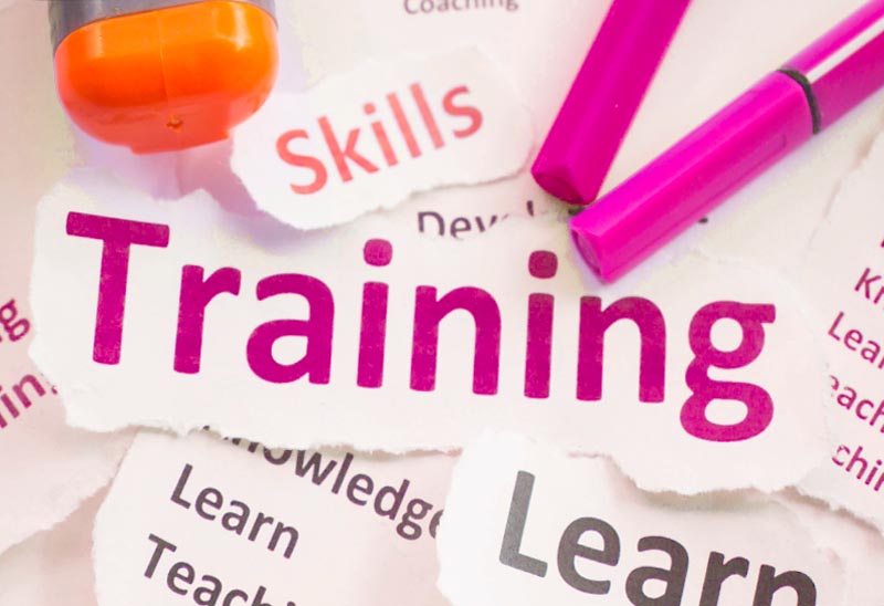 Training and Development You Can Rely On